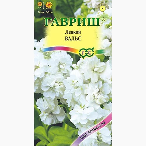 Левкой Вальс Гавриш изображение 1 артикул 97720