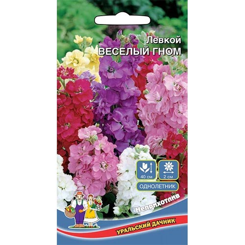 Левкой Веселый гном, смесь окрасок изображение 1 артикул 94821