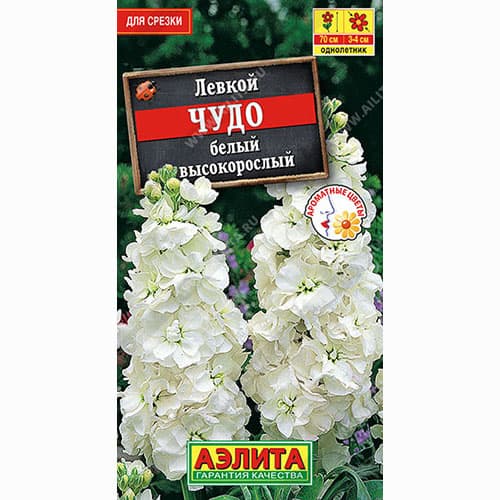 Левкой высокорослый Чудо белый Аэлита изображение 1 артикул 98985