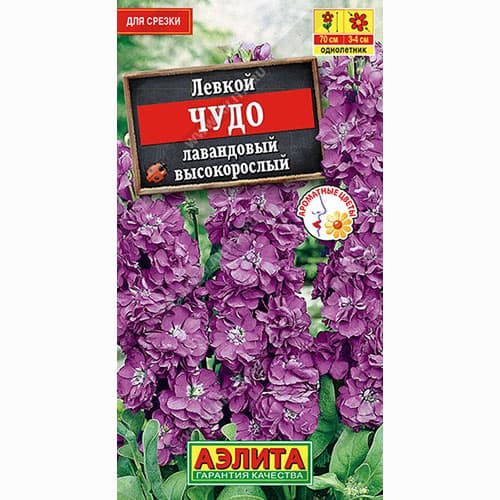 Левкой высокорослый Чудо лавандовый Аэлита изображение 1 артикул 98987