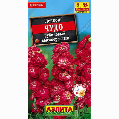 Левкой высокорослый Чудо рубиновый Аэлита артикул фото 1 Левкой высокорослый Чудо рубиновый Аэлита изображение 1 артикул 98988