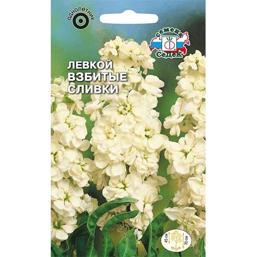 Левкой Взбитые сливки, семена артикул фото 1 Левкой Взбитые сливки, семена изображение 1 артикул 93865