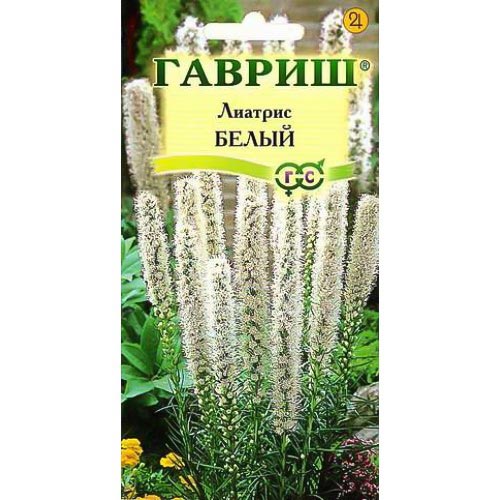Лиатрис Белый, семена артикул фото 1 Лиатрис Белый, семена изображение 1 артикул 94859