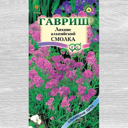 Лихнис альпийский Смолка изображение 1 артикул 73745