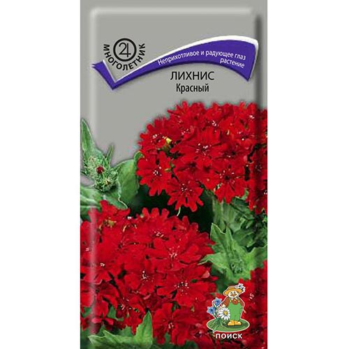 Лихнис халцедонский Красный, семена изображение 1 артикул 93036