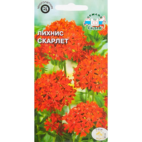 Лихнис халцедонский Скарлет, семена изображение 1 артикул 93881