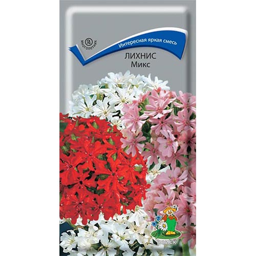 Лихнис халцедонский, смесь окрасок изображение 1 артикул 93037