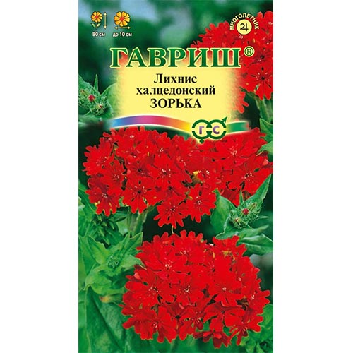 Лихнис халцедонский Зорька, семена изображение 1 артикул 92133
