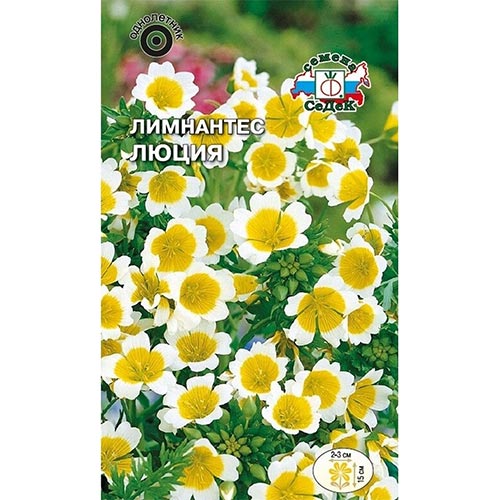 Лимнантес Люция, семена изображение 1 артикул 93879