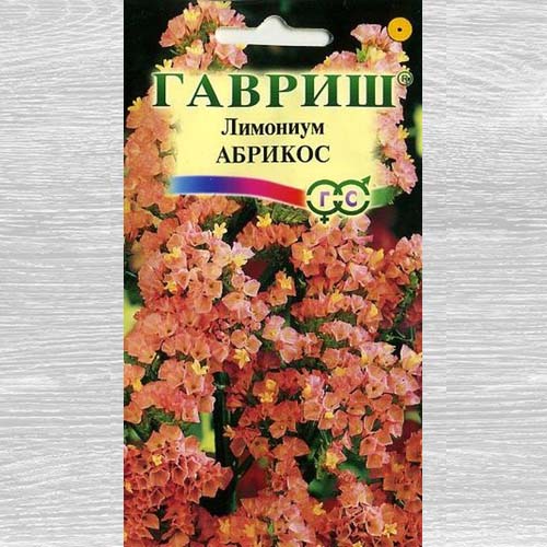 Лимониум Абрикос Гавриш изображение 1 артикул 73866