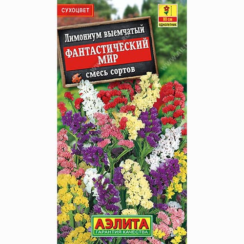 Лимониум Фантастический мир, смесь окрасок Аэлита изображение 1 артикул 98996