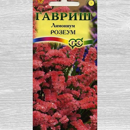 Лимониум Розеум изображение 1 артикул 73867