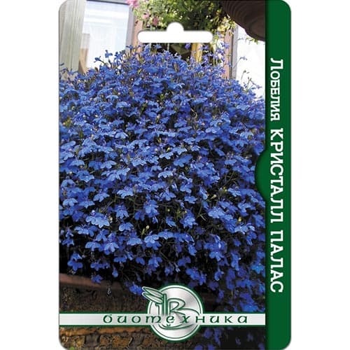 Лобелия ампельная Кристалл палас, семена изображение 1 артикул 91589