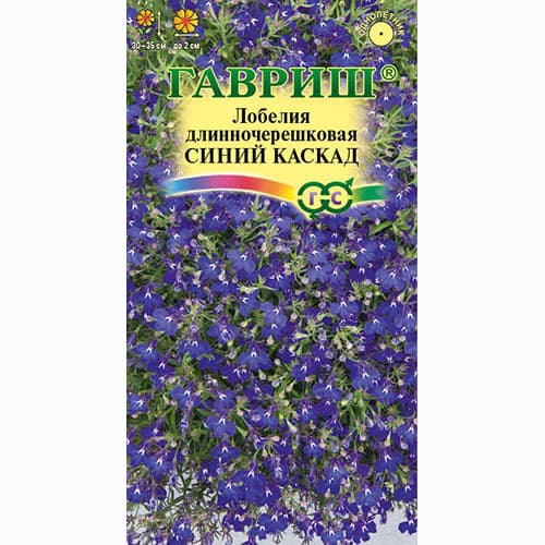 Лобелия ампельная Синий каскад Гавриш изображение 1 артикул 71200