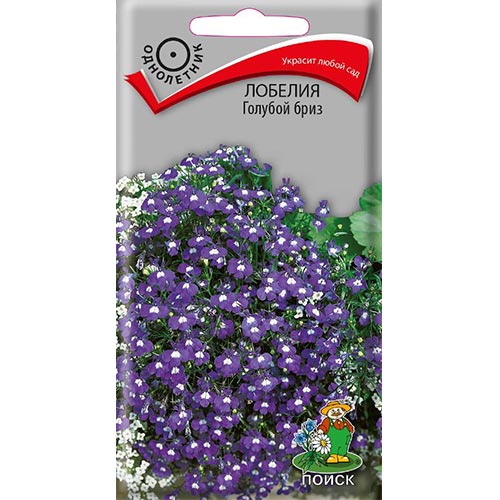 Лобелия Голубой бриз, семена изображение 1 артикул 93039