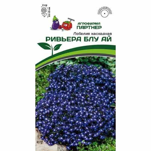 Лобелия каскадная Ривьера Блу Ай Партнер изображение 1 артикул 97000