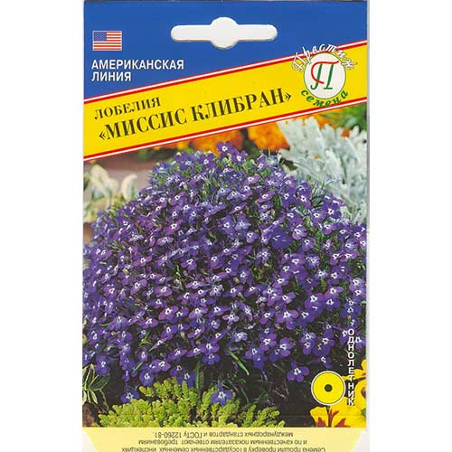 Лобелия Миссис Клибран Престиж изображение 1 артикул 81355