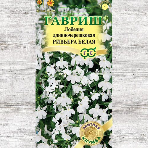 Лобелия Ривьера белая Гавриш изображение 1 артикул 71201