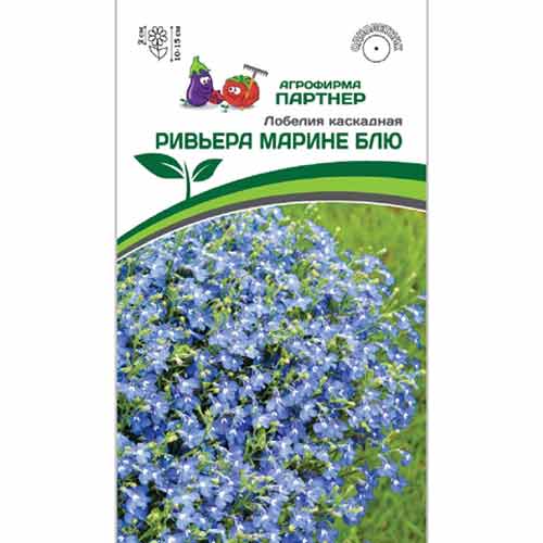 Лобелия каскадная Ривьера Марине Блю Партнер изображение 1 артикул 84825