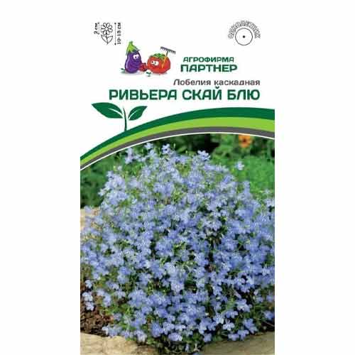 Лобелия каскадная Ривьера Скай Блю Партнер изображение 1 артикул 84824