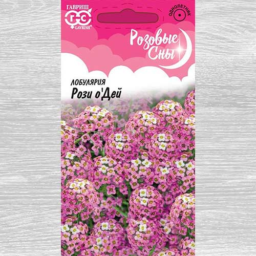 Лобулярия Рози о'Дей Гавриш артикул фото 1 Лобулярия Рози о'Дей Гавриш изображение 1 артикул 82403