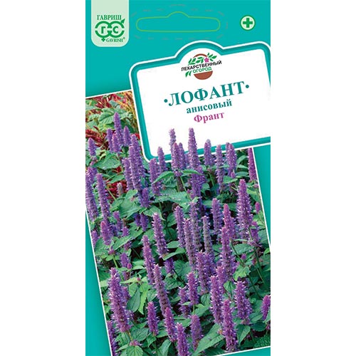 Лофант анисовый Франт, семена изображение 1 артикул 91720