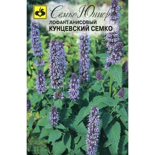 Лофант анисовый Кунцевский Семко, семена изображение 1 артикул 94250