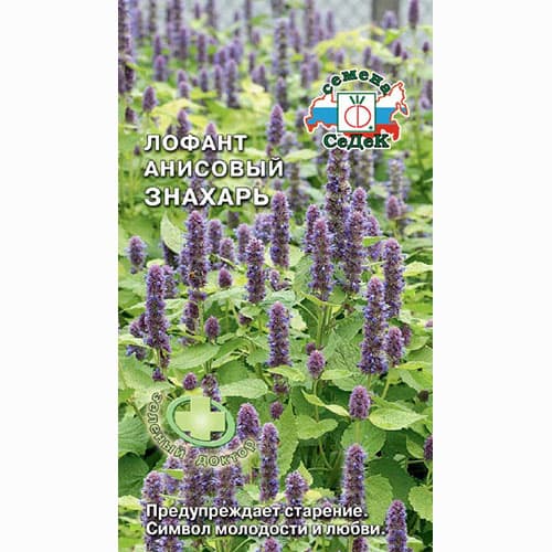 Лофант анисовый Знахарь Седек изображение 1 артикул 81503
