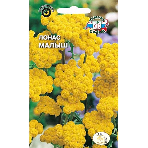 Лонас Малыш, семена изображение 1 артикул 93883