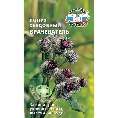 Лопух японский Врачеватель, семена изображение 1 артикул 93418