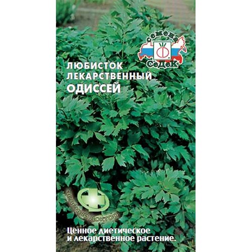 Любисток Одиссей, семена изображение 1 артикул 93426