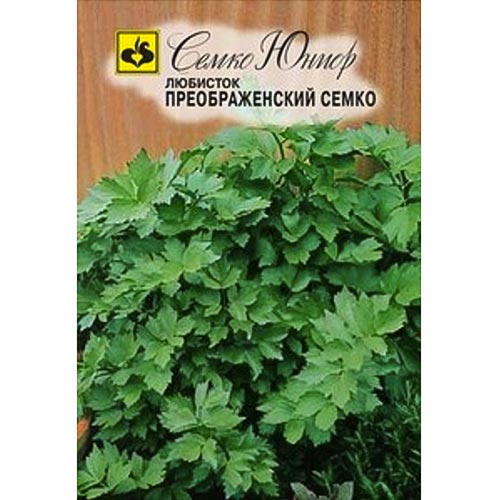Любисток Преображенский Семко, семена изображение 1 артикул 94252
