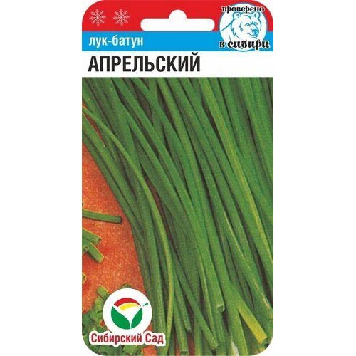 Лук батун Апрельский Сибирский Сад изображение 1 артикул 71986