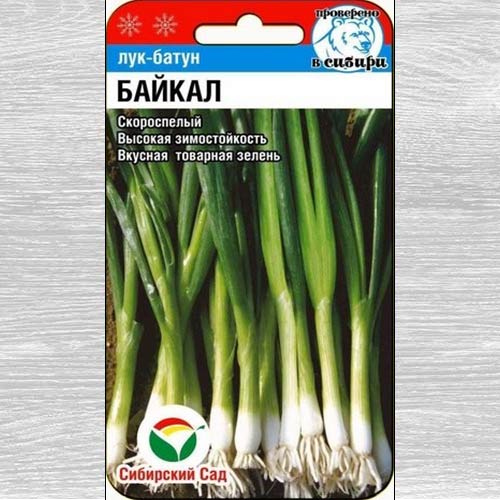 Лук батун Байкал артикул фото 1 Лук батун Байкал изображение 1 артикул 78397