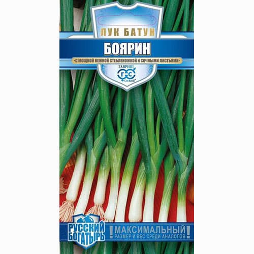Лук батун Боярин Гавриш изображение 1 артикул 65209