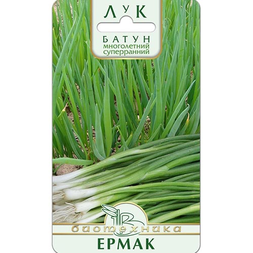 Лук батун Ермак, семена изображение 1 артикул 91511