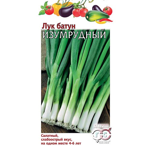 Лук батун Изумрудный, семена изображение 1 артикул 91722