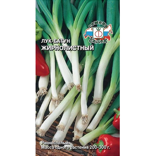Лук батун Жирнолистный, семена изображение 1 артикул 93419