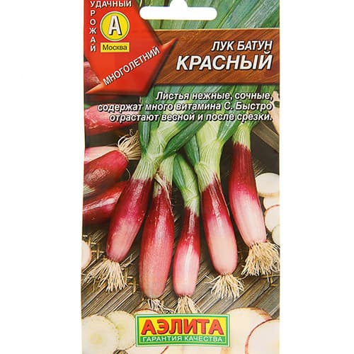 Лук батун Красный Аэлита изображение 1 артикул 98313