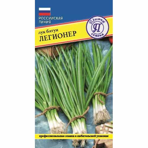 Лук батун Легионер Престиж изображение 1 артикул 40762