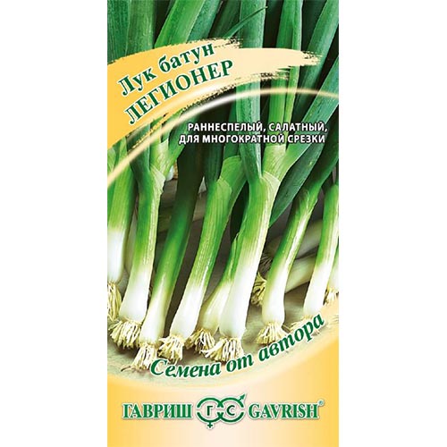 Лук батун Легионер, семена изображение 1 артикул 91723