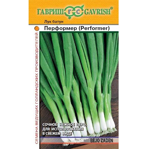 Лук батун Перформер, семена изображение 1 артикул 91726