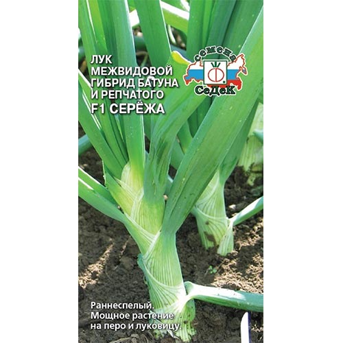 Лук батун Сережа F1, семена изображение 1 артикул 93420