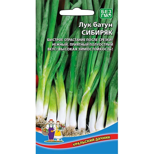 Лук батун Сибиряк, семена изображение 1 артикул 94552
