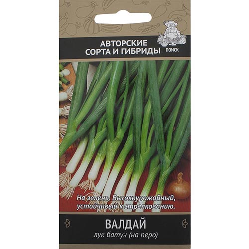 Лук батун Валдай, семена изображение 1 артикул 92753