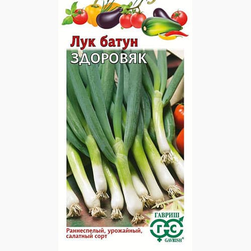 Лук батун Здоровяк Гавриш изображение 1 артикул 97440