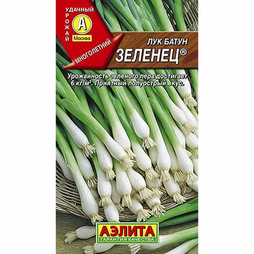 Лук батун Зеленец Аэлита изображение 1 артикул 98311