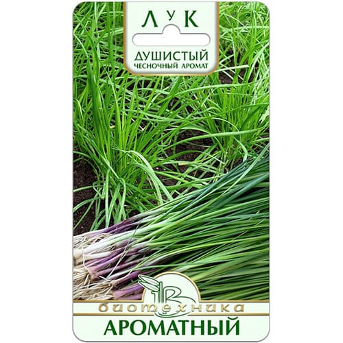 Лук душистый Ароматный Биотехника изображение 1 артикул 97287