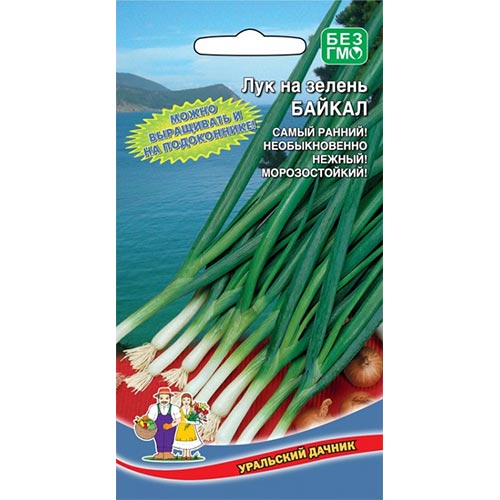 Лук на зелень Байкал, семена изображение 1 артикул 94554