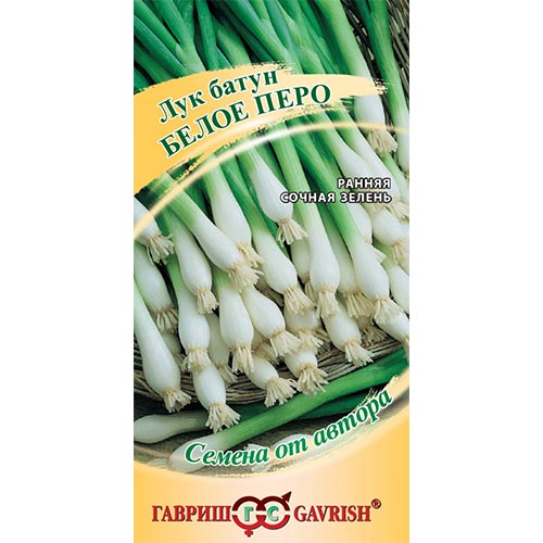 Лук на зелень Белое перо, семена изображение 1 артикул 91731
